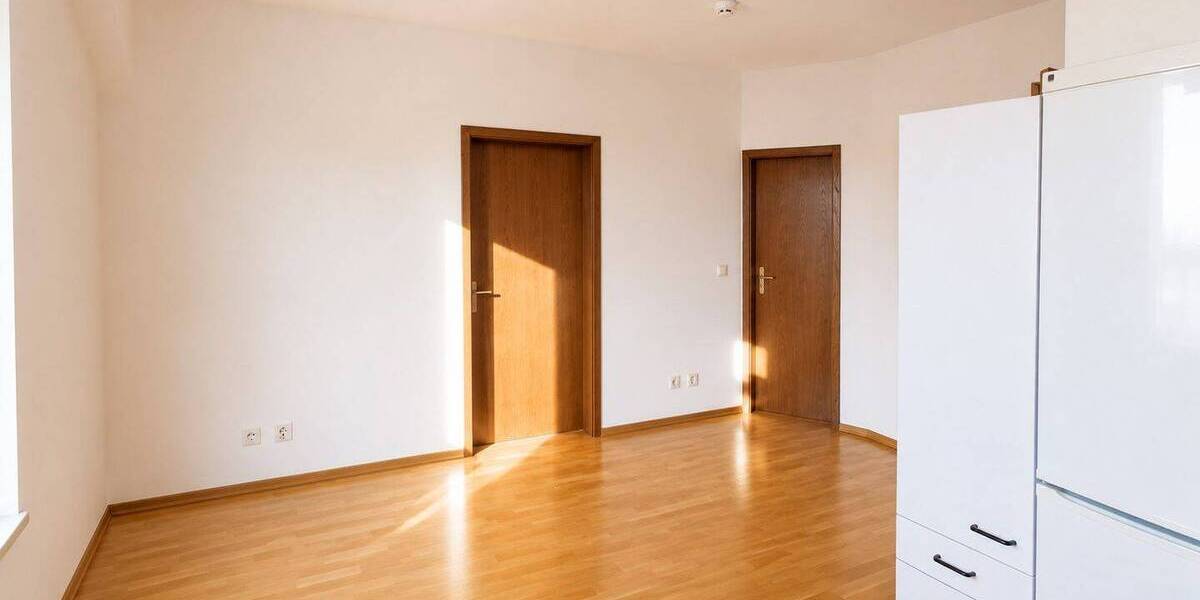 Etagenwohnung Halle (Saale) Paulusviertel - 1 Zimmer, 45 m&sup2;, 440&euro; | Angebot:26897642