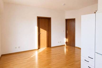 Wohnung Halle (Saale) Paulusviertel - 1 Zimmer, 45 m&sup2;, 440&euro; | Angebot:26897642