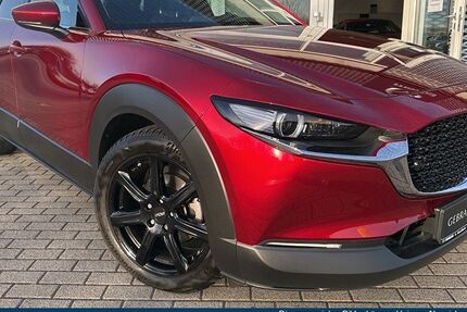 Mazda CX-30 37.464 km 26.235 &euro; Delitzsch 04509