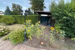 Einfamilienhaus Halle (Saale) Am Wasserturm/Thaerviertel - 330.000&euro; | Angebot:26664554