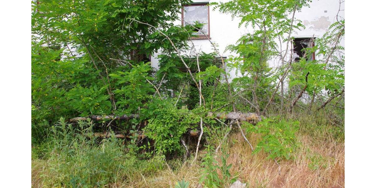 Grundstück Schkeuditz - 450.000&euro; | Angebot:25916712