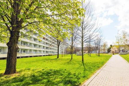 Wohnung Halle (Saale) Halle-Neustadt - 1 Zimmer, 37 m&sup2;, 320&euro; | Angebot:25378241