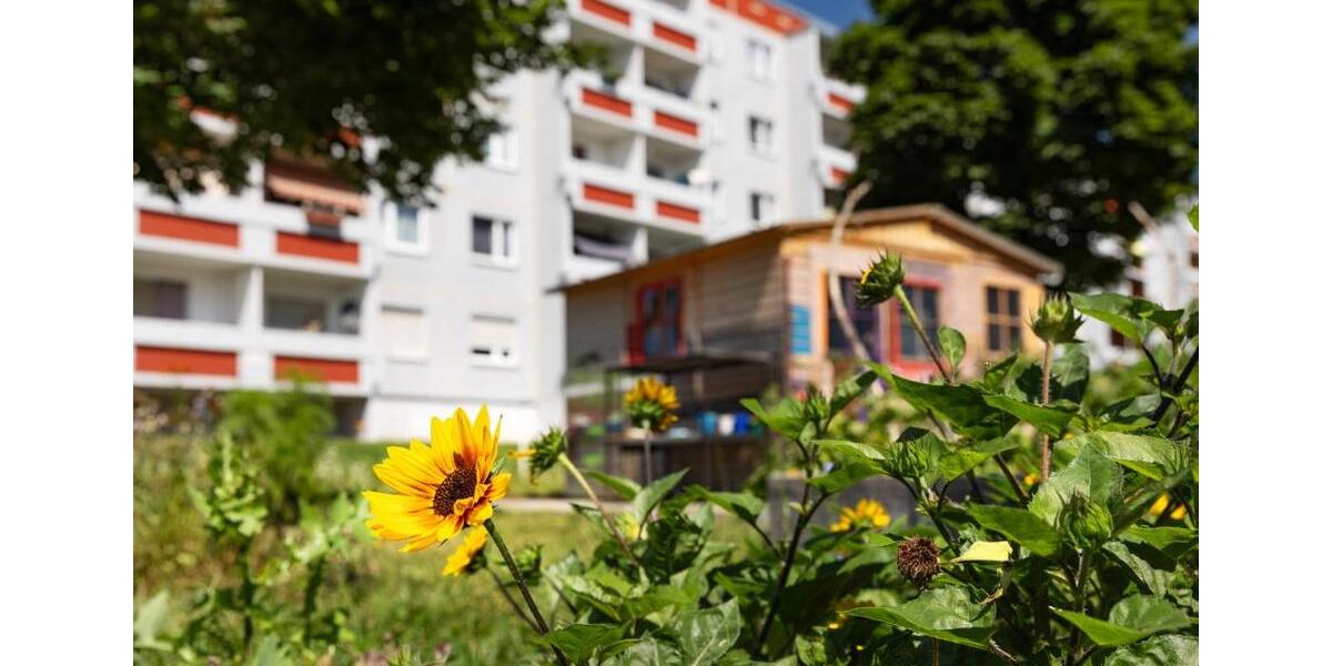 Etagenwohnung Halle (Saale) Silberhöhe - 5 Zimmer, 77 m&sup2;, 600&euro; | Angebot:25974501