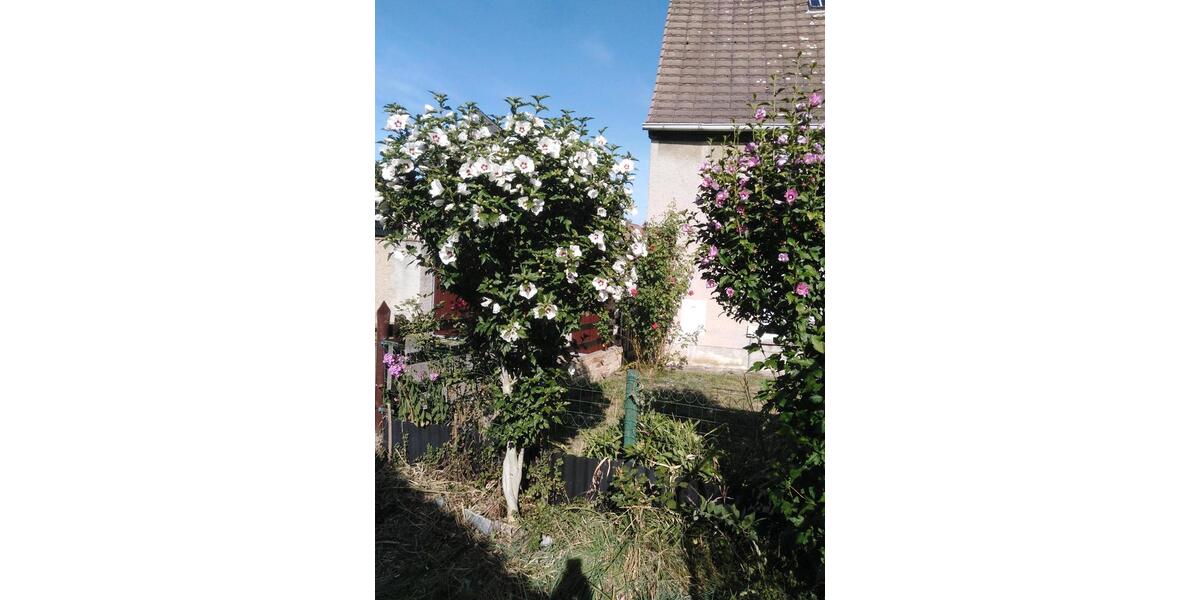 Einfamilienhaus Schkopau - 4 Zimmer, 94 m&sup2;, 89.000&euro; | Angebot:24852052