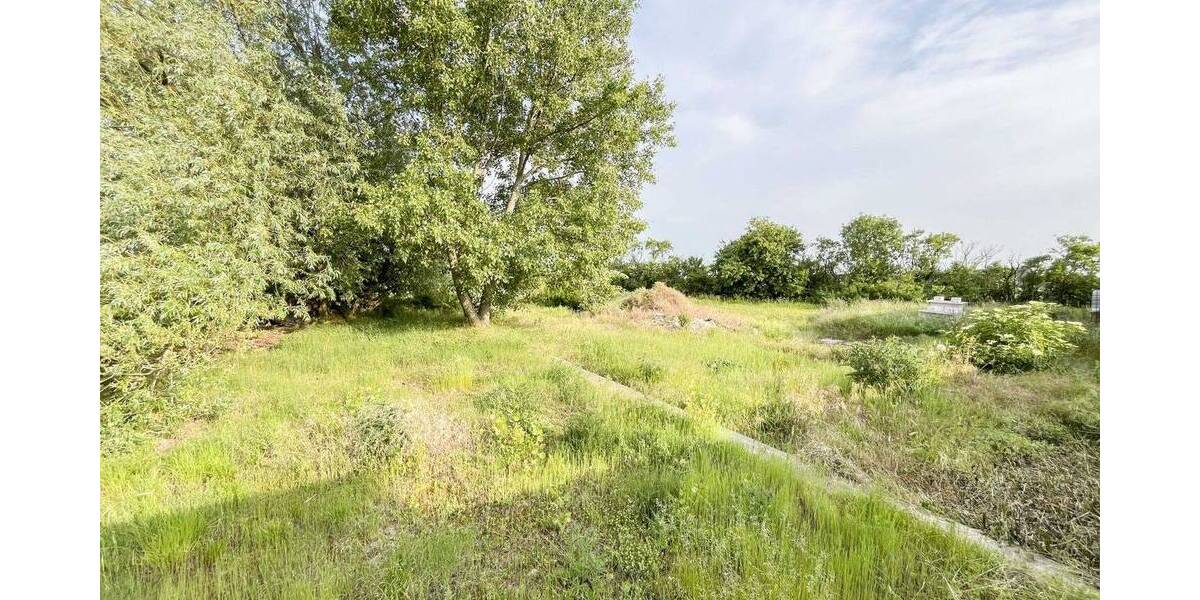 Einfamilienhaus Wettin-Löbejün Merbitz - 4 Zimmer, 100 m&sup2;, 180.000&euro; | Angebot:25939500