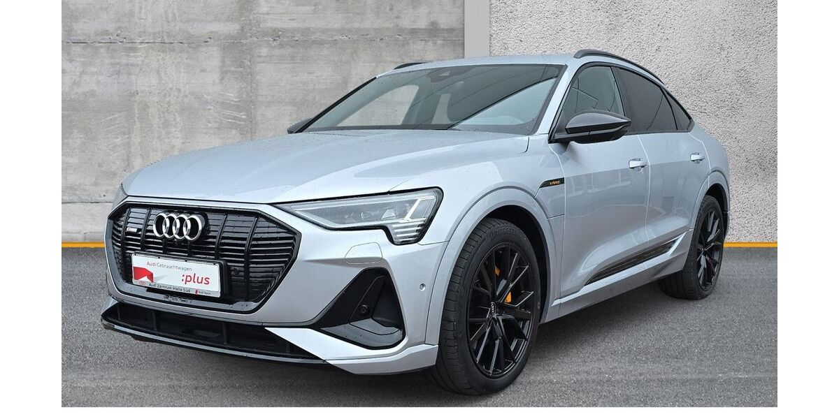 Audi e-tron 38.802 km 38.420 &euro; Halle (Saale) 06110