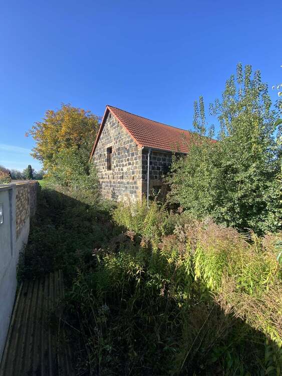 Selbstverwirklichung auf 2.619 qm großem Grundstück + im Umkreis von Halle (Saale) 3 zimmer