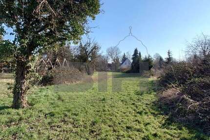 Grundstück zu verkaufen in Brehna 178.000 € 1975 m²