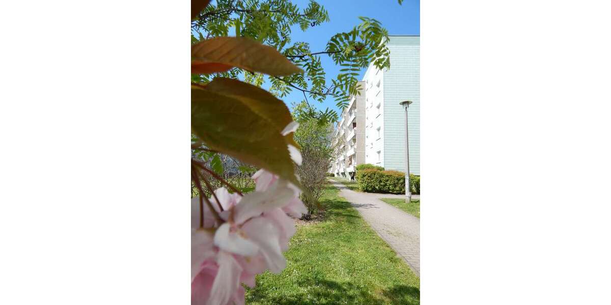 Etagenwohnung Schkeuditz Altscherbitz - 3 Zimmer, 60 m&sup2;, 540&euro; | Angebot:27299610