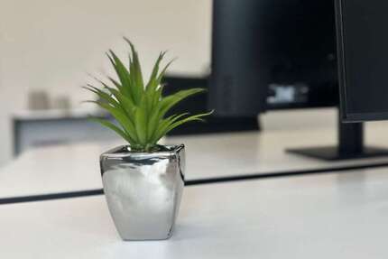 Gewerbeobjekt Lützen - 299&euro; | Angebot:26191108