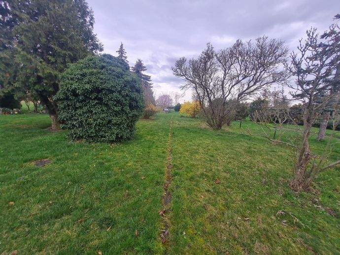 Mehrfamilienhaus, Wohnhaus Sandersdorf-Brehna Ramsin - 5 Zimmer, 126 m&sup2;, 253.200&euro; | Angebot:25770038