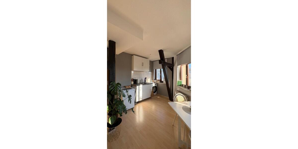 Dachgeschoßwohnung Halle (Saale) Damaschkestraße - 1 Zimmer, 35 m&sup2;, 335&euro; | Angebot:26693652