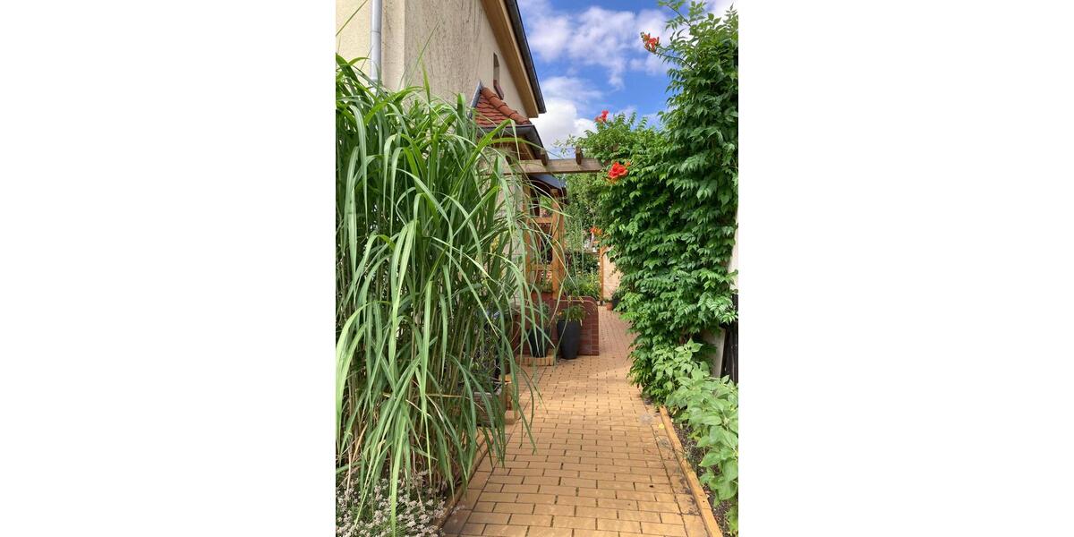 Doppelhaushälfte Bitterfeld-Wolfen Wolfen - 149.000&euro; | Angebot:27225183