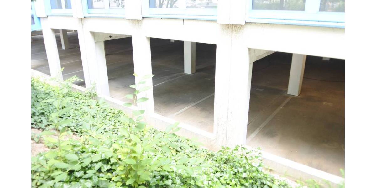 Gewerbeobjekt Wiedemar Delitzsch - 1.575&euro; | Angebot:24973903