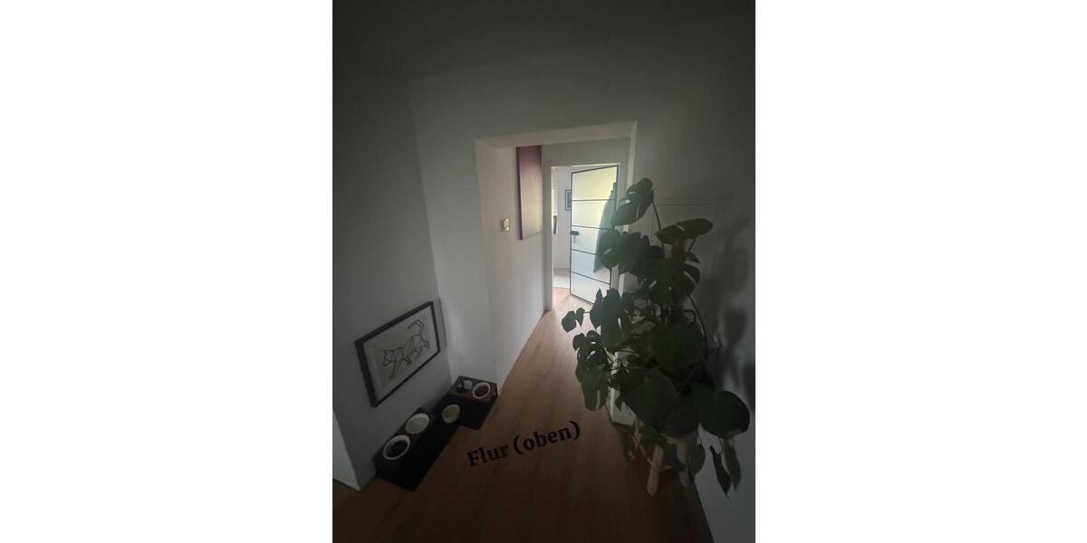 Reihenhaus Halle (Saale) Damaschkestraße - 4 Zimmer, 112 m&sup2;, 360.000&euro; | Angebot:24976628