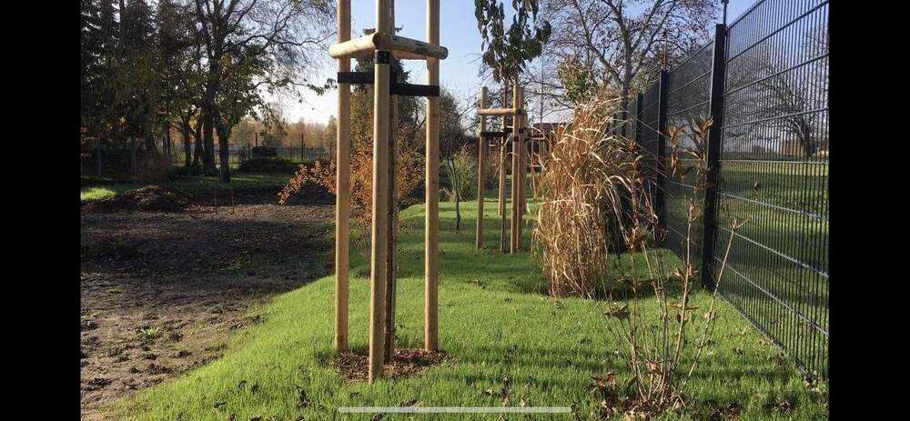 Grundstück Südliches Anhalt OT Glauzig Pfriemsdorf - 79.990&euro; | Angebot:25703611