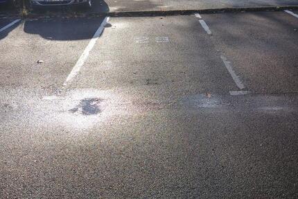 Gewerbeobjekt Halle (Saale) Nietleben - 30&euro; | Angebot:23781827