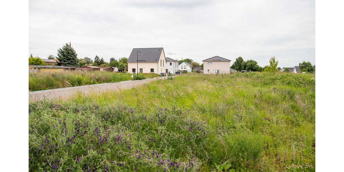 Ellerbacher Höfe: ANKOMMEN.WOHLFÜHLEN.BLEIBEN. 5 zimmer