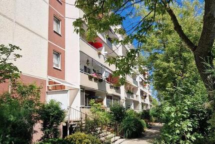 Wohnung Halle (Saale) Nietleben - 1 Zimmer, 36 m&sup2;, 205&euro; | Angebot:25977967