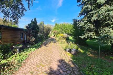 Grundstück zu verkaufen in Seeben 450.000 € 2500 m² zimmer