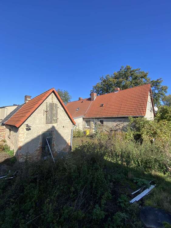 Selbstverwirklichung auf 2.619 qm großem Grundstück + im Umkreis von Halle (Saale) 3 zimmer