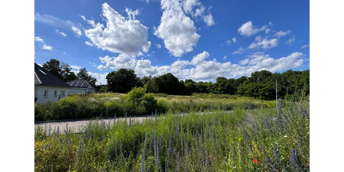 Grundstück Eisleben (Lutherstadt) - 39.990&euro; | Angebot:9491682