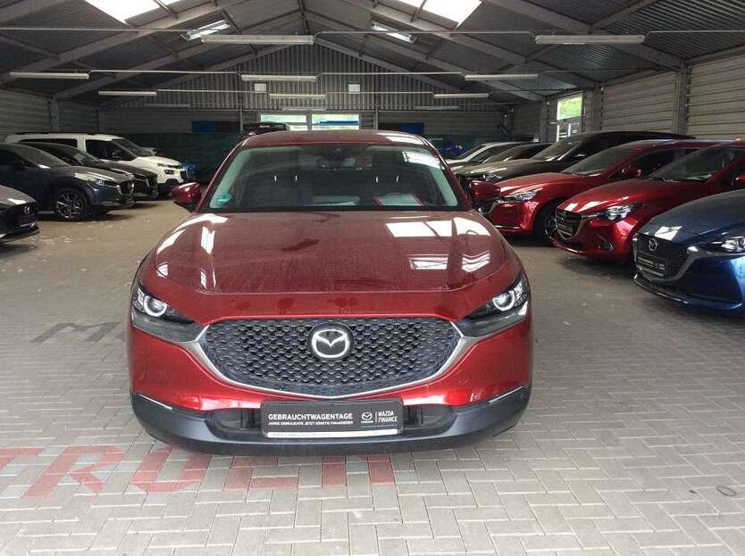 CX-30