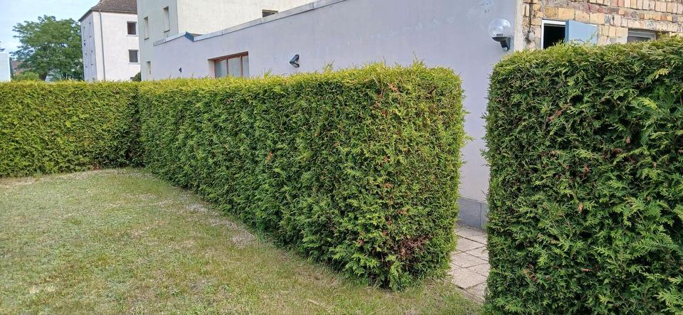 Reihenhaus Bitterfeld-Wolfen Holzweißig - 6 Zimmer, 80 m&sup2;, 100.000&euro; | Angebot:26918518