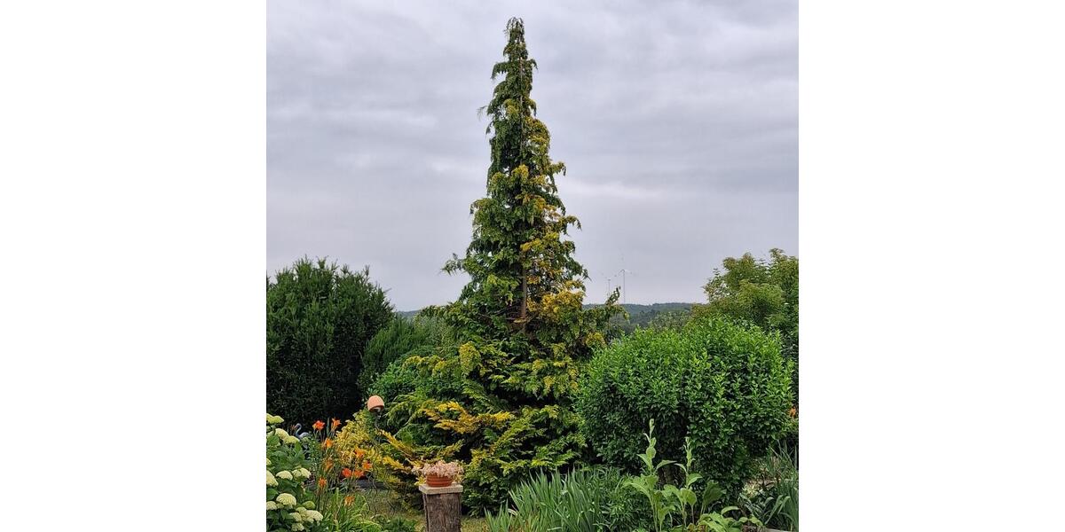 Doppelhaushälfte Farnstädt - 4 Zimmer, 100 m&sup2;, 255.000&euro; | Angebot:22700026