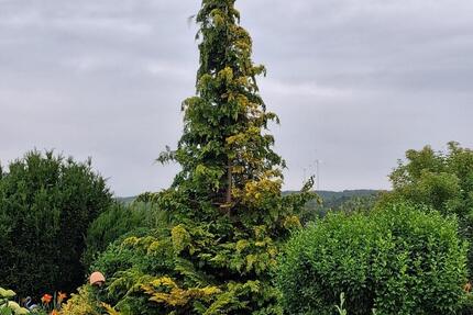 Einfamilienhaus-Doppelhaushälfte - PRIVATVERKAUF 4 zimmer