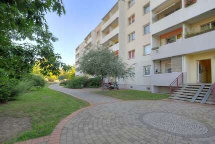 Wohnung Halle Südstadt - 3 Zimmer, 57 m&sup2;, 371&euro; | Angebot:26803032