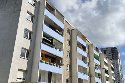 Wohnung Halle (Saale) Nietleben - 2 Zimmer, 50 m&sup2;, 250&euro; | Angebot:26193894