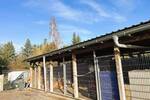 Einfamilienhaus Seegebiet Mansfelder Land Hornburg - 4 Zimmer, 115 m&sup2;, 1.100&euro; | Angebot:26867191