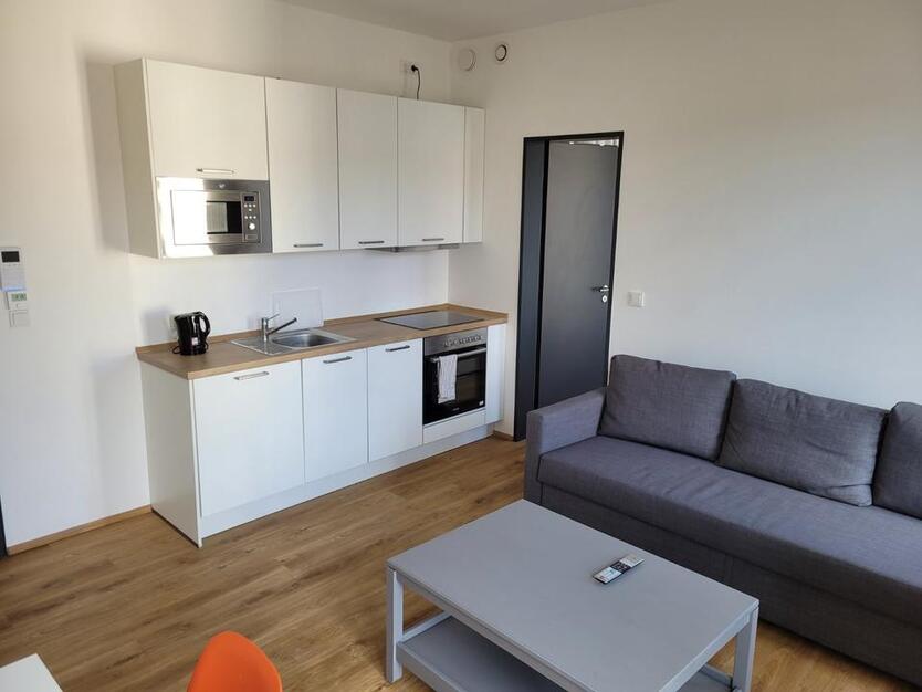 Liebevoll möbliertes Appartement in Leipzig