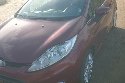 Ford Fiesta 253.400 km 1.400 € Delitzsch 04509