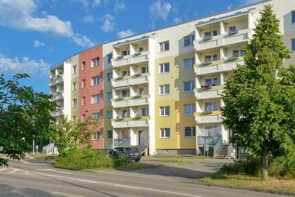 Wohnung zum Mieten in Halle 690 € 98.98 m² 5 zimmer