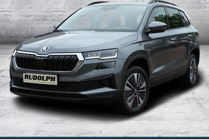 Skoda Karoq 6.000 km 36.980 &euro; Merseburg 06217