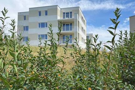 Wohnung Halle (Saale) Heide Süd - 3 Zimmer, 98 m&sup2;, 1.331&euro; | Angebot:26388898