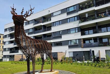 Wohnung Halle (Saale) Damaschkestraße - 2 Zimmer, 54 m&sup2;, 740&euro; | Angebot:25422634