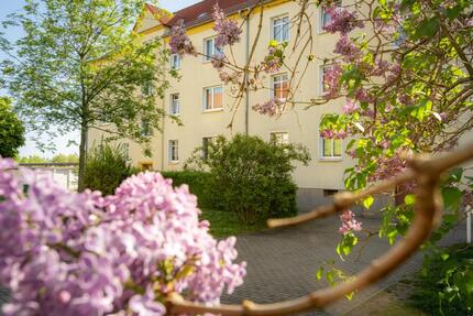 Wohnung Halle (Saale) Büschdorf - 2 Zimmer, 50 m&sup2;, 360&euro; | Angebot:25571103