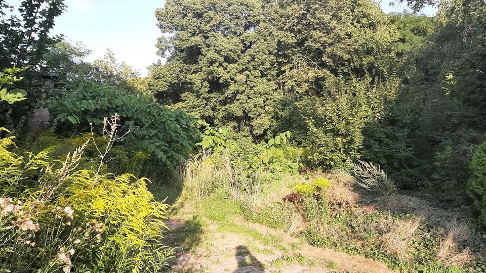 Einfamilienhaus Bad Lauchstädt - 94.999&euro; | Angebot:25637637