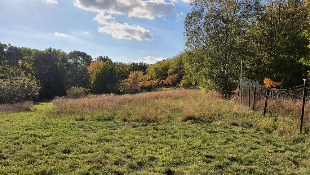 Grundstück Petersberg Kütten - 99.000&euro; | Angebot:25680250