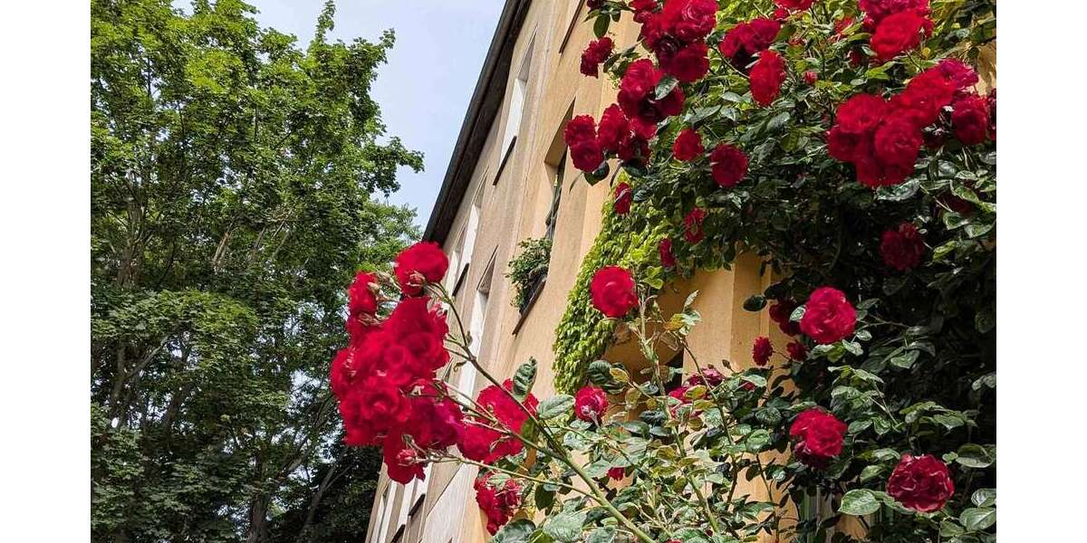 Etagenwohnung Halle Nördliche Innenstadt - 3 Zimmer, 69 m&sup2;, 590&euro; | Angebot:27009713