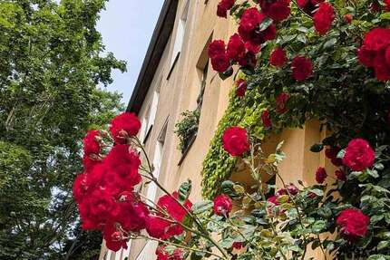 Wohnung Halle Nördliche Innenstadt - 3 Zimmer, 69 m&sup2;, 590&euro; | Angebot:27009713