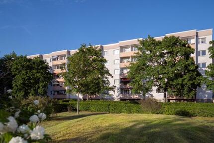 Familienfreundliche 4-Zimmerwohnung in Halle-Neustadt zimmer