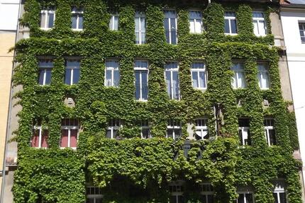 Gemütliche 3-Raumwohnung in der südlichen Innenstadt 3 zimmer