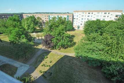 Wohnung Halle Heide-Nord/Blumenau - 1 Zimmer, 38 m&sup2;, 298&euro; | Angebot:27687611