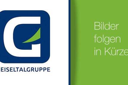 Seat Ibiza 26.446 km 16.830 &euro; Braunsbedra 06242