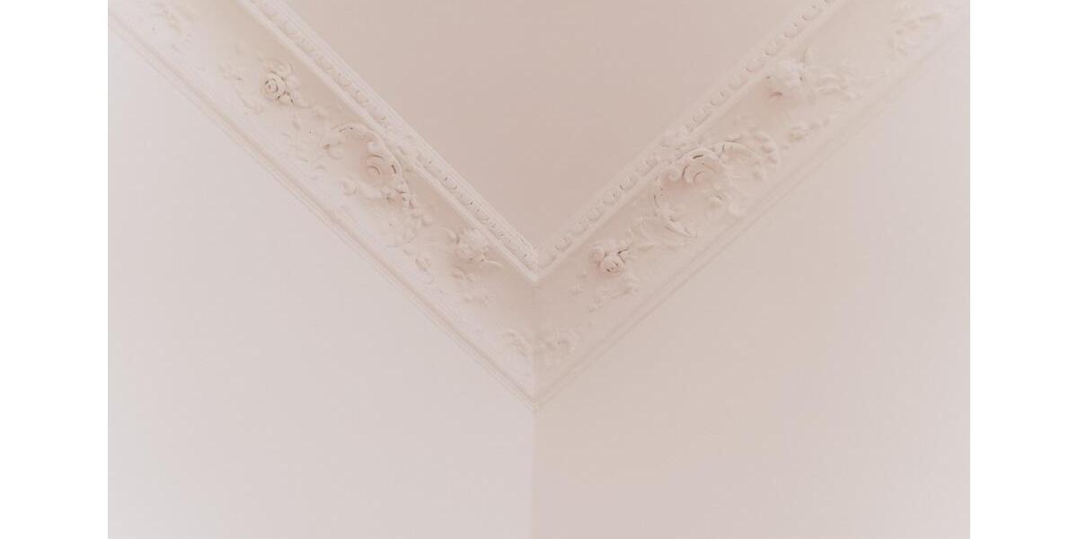 Hochparterre Halle (Saale) Am Wasserturm/Thaerviertel - 4.5 Zimmer, 190 m&sup2;, 2.335&euro; | Angebot:25376252