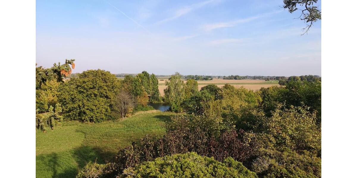 Einfamilienhaus Leuna - 5 Zimmer, 105 m&sup2;, 350.000&euro; | Angebot:24585660